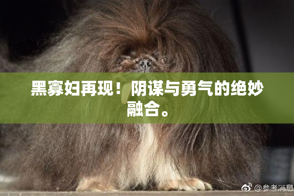 黑寡妇再现！阴谋与勇气的绝妙融合。