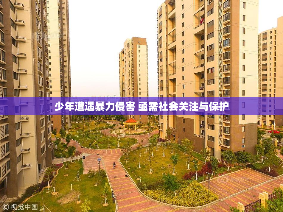 少年遭遇暴力侵害 亟需社会关注与保护