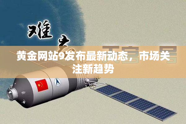 黄金网站9发布最新动态，市场关注新趋势