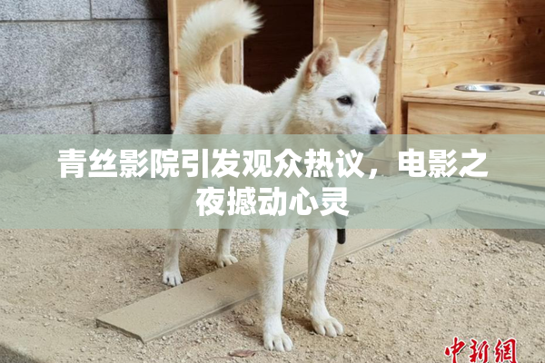 青丝影院引发观众热议，电影之夜撼动心灵