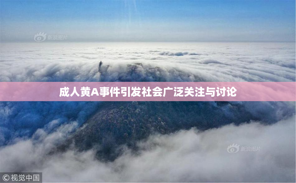 成人黄A事件引发社会广泛关注与讨论