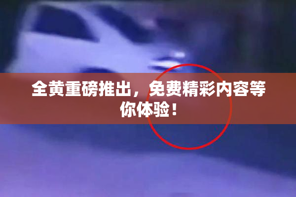 全黄重磅推出，免费精彩内容等你体验！