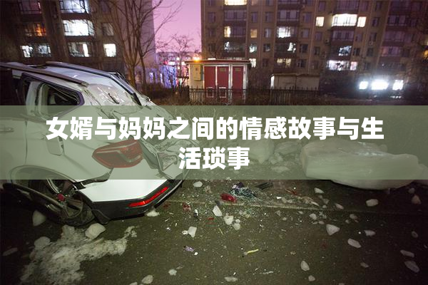 女婿与妈妈之间的情感故事与生活琐事