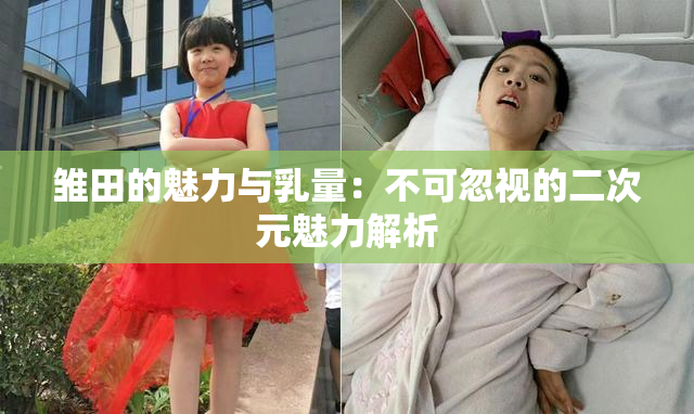 雏田的魅力与乳量：不可忽视的二次元魅力解析
