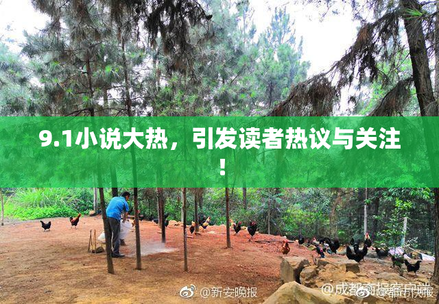 9.1小说大热，引发读者热议与关注！