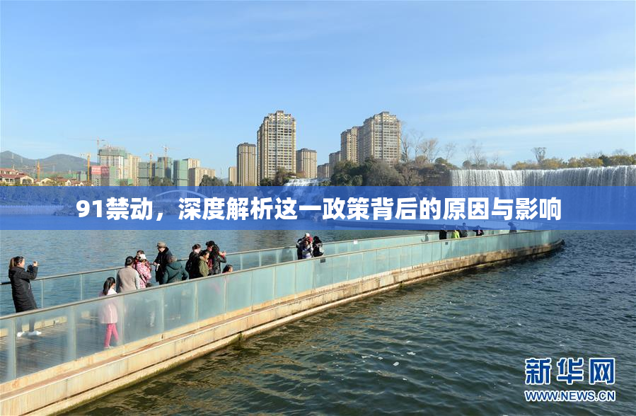 91禁动，深度解析这一政策背后的原因与影响