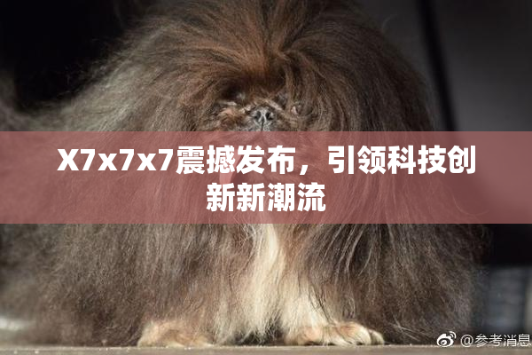 X7x7x7震撼发布，引领科技创新新潮流