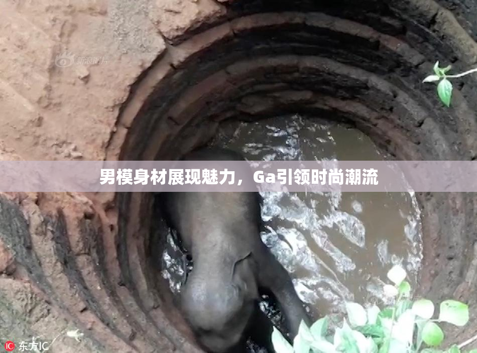 男模身材展现魅力，Ga引领时尚潮流