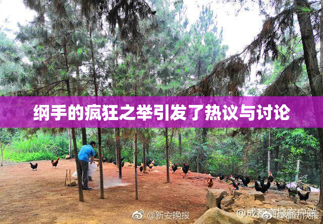 纲手的疯狂之举引发了热议与讨论