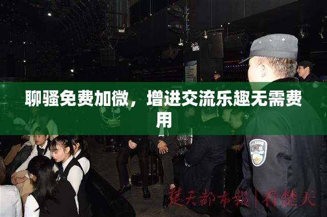 聊骚免费加微，增进交流乐趣无需费用