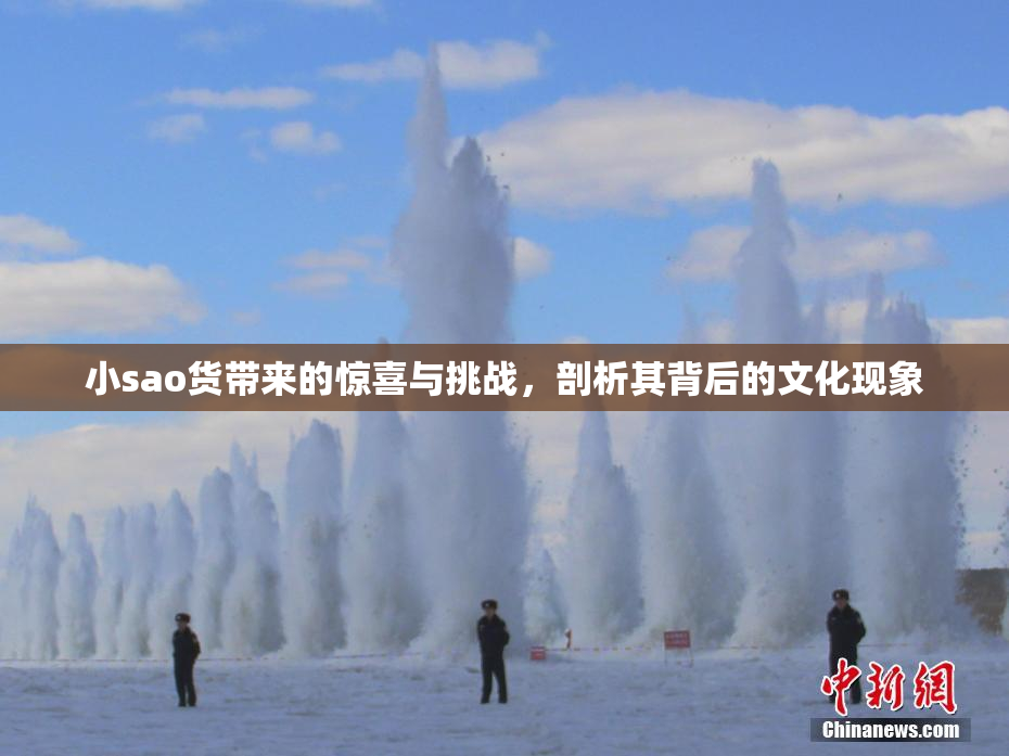 小sao货带来的惊喜与挑战，剖析其背后的文化现象