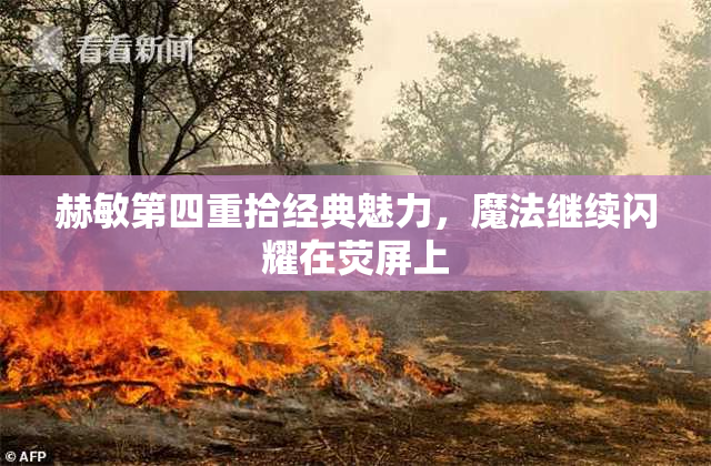 赫敏第四重拾经典魅力，魔法继续闪耀在荧屏上