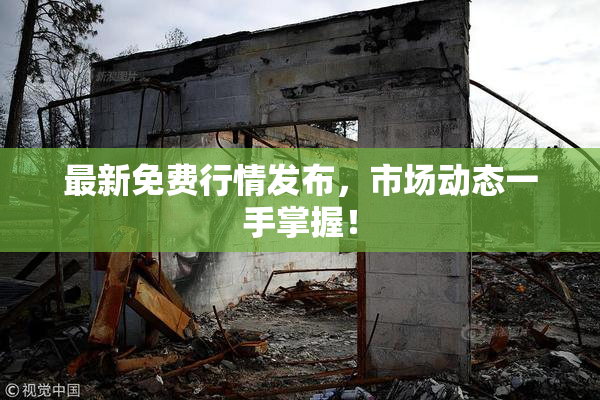 最新免费行情发布，市场动态一手掌握！