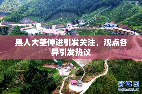 黑人大茎伸进引发关注，观点各异引发热议