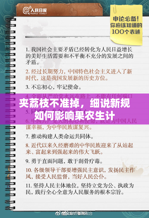 夹荔枝不准掉，细说新规如何影响果农生计