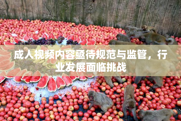 成人视频内容亟待规范与监管，行业发展面临挑战