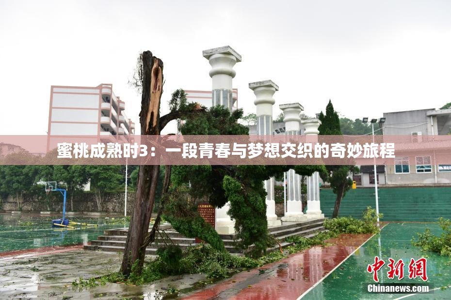 蜜桃成熟时3：一段青春与梦想交织的奇妙旅程