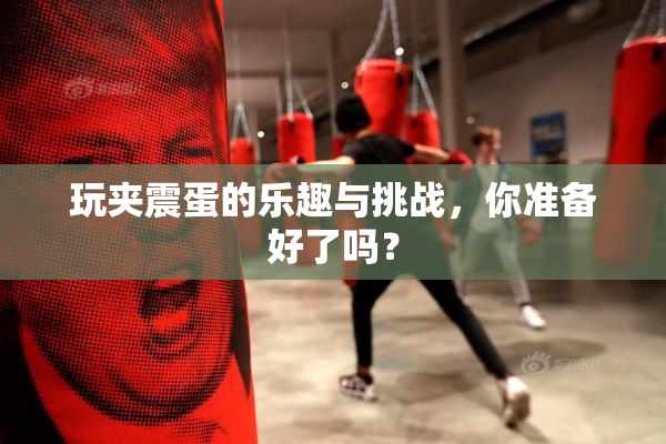 玩夹震蛋的乐趣与挑战，你准备好了吗？