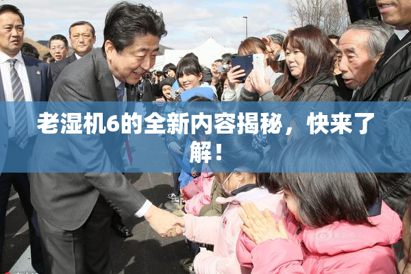 老湿机6的全新内容揭秘，快来了解！