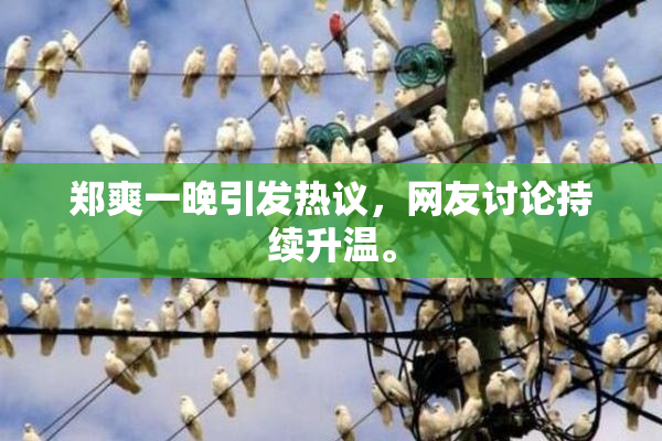 郑爽一晚引发热议，网友讨论持续升温。
