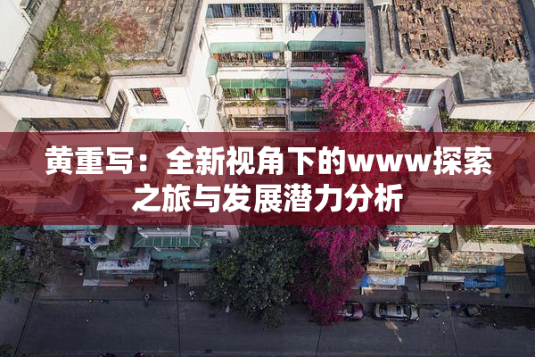黄重写：全新视角下的www探索之旅与发展潜力分析