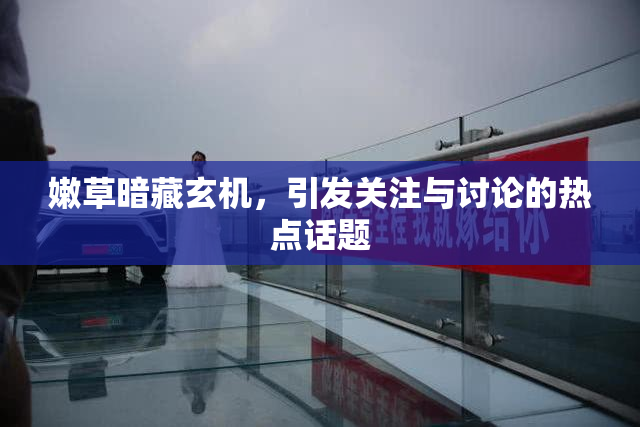 嫩草暗藏玄机，引发关注与讨论的热点话题