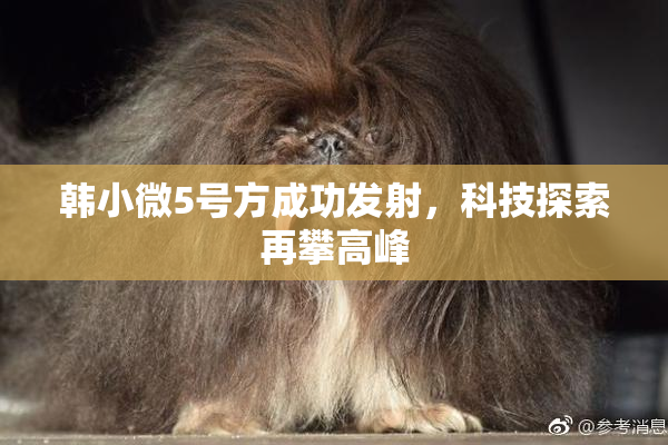 韩小微5号方成功发射，科技探索再攀高峰