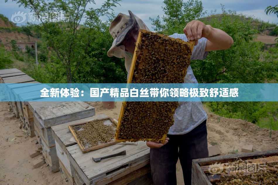 全新体验：国产精品白丝带你领略极致舒适感
