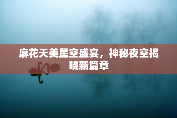 麻花天美星空盛宴，神秘夜空揭晓新篇章