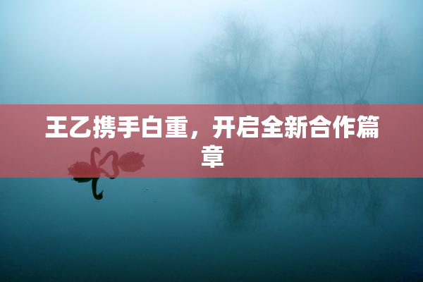 王乙携手白重，开启全新合作篇章