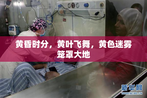 黄昏时分，黄叶飞舞，黄色迷雾笼罩大地