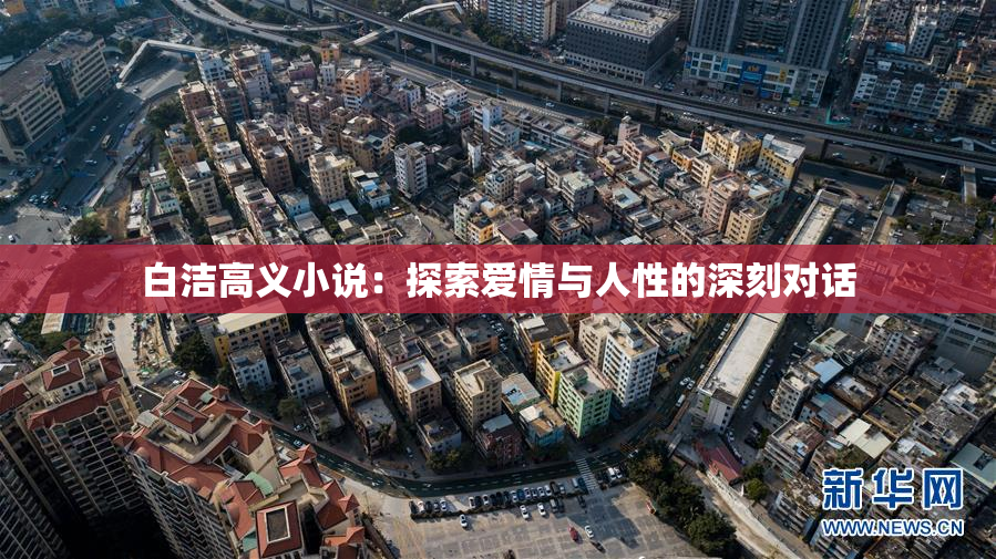 白洁高义小说：探索爱情与人性的深刻对话