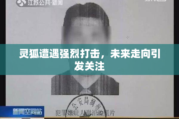 灵狐遭遇强烈打击，未来走向引发关注