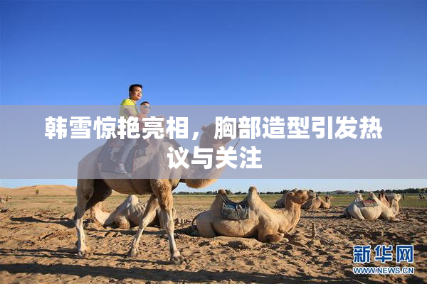 韩雪惊艳亮相，胸部造型引发热议与关注