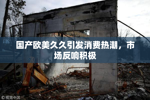 国产欧美久久引发消费热潮，市场反响积极