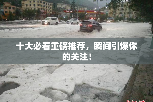 十大必看重磅推荐，瞬间引爆你的关注！