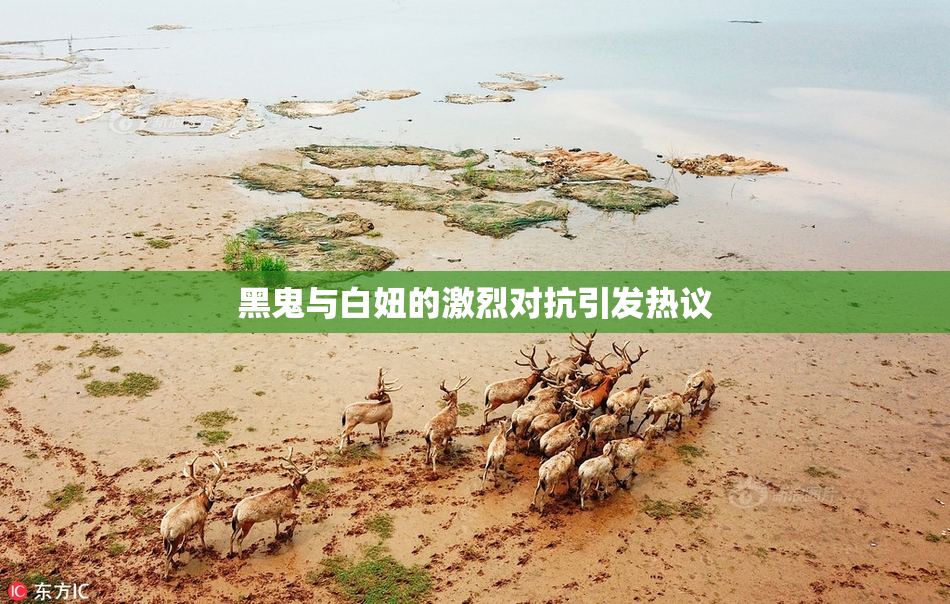 黑鬼与白妞的激烈对抗引发热议