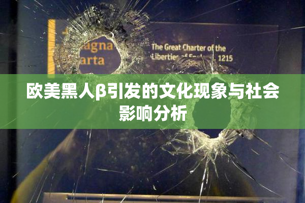 欧美黑人β引发的文化现象与社会影响分析