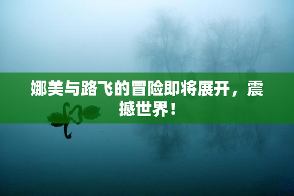娜美与路飞的冒险即将展开，震撼世界！