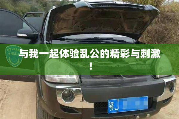 与我一起体验乱公的精彩与刺激！