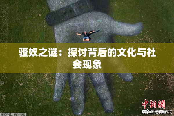 骚奴之谜：探讨背后的文化与社会现象