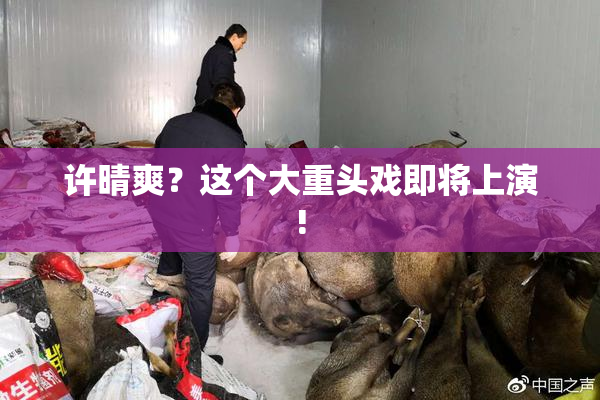 许晴爽？这个大重头戏即将上演!
