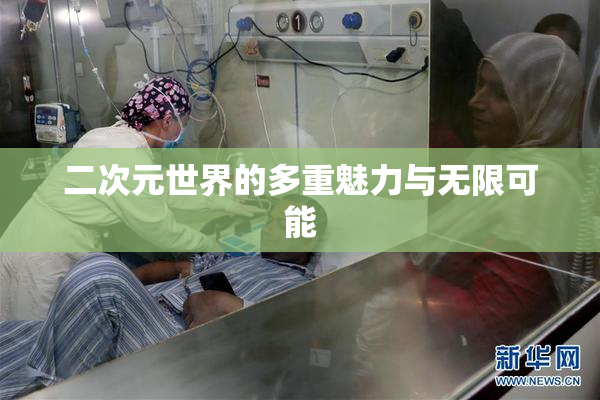 二次元世界的多重魅力与无限可能