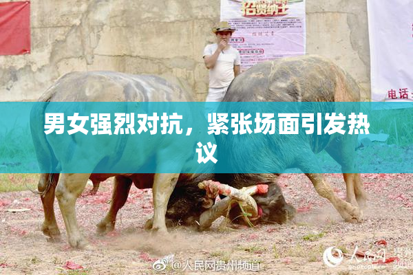 男女强烈对抗，紧张场面引发热议