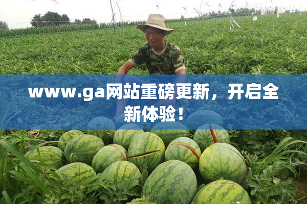 www.ga网站重磅更新，开启全新体验！