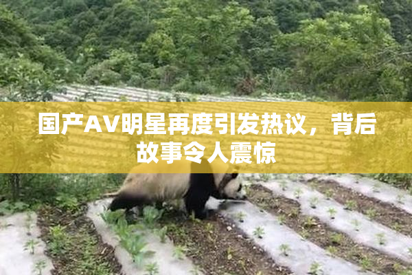 国产AV明星再度引发热议，背后故事令人震惊