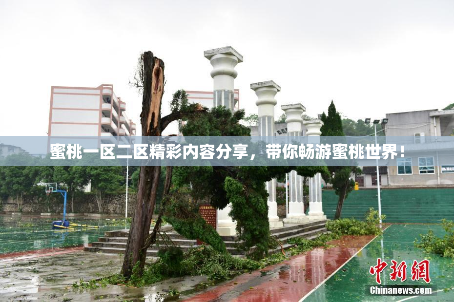 蜜桃一区二区精彩内容分享，带你畅游蜜桃世界！