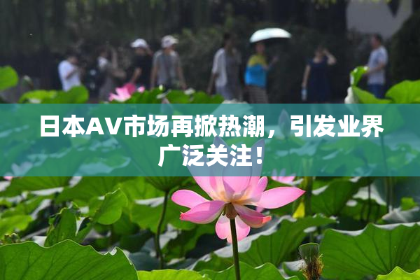 日本AV市场再掀热潮，引发业界广泛关注！
