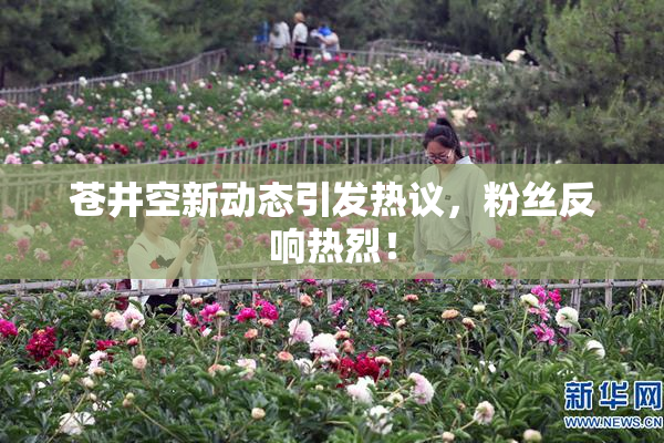 苍井空新动态引发热议，粉丝反响热烈！
