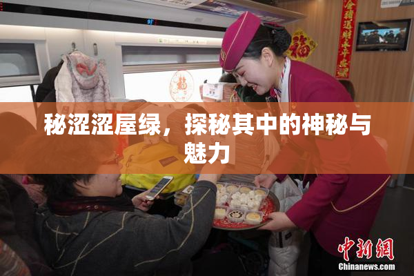 秘涩涩屋绿，探秘其中的神秘与魅力